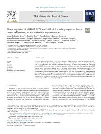 Phosphorylation of NHERF1 S279 and S301 Differentially Regulates