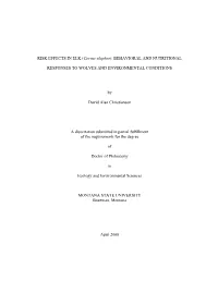 RISK EFFECTS in ELK (Cervus Elaphus): BEHAVIORAL and NUTRITIONAL
