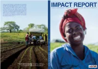 Sustainable Companies Create Development