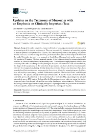 Updates on the Taxonomy of Mucorales with an Emphasis on Clinically Important Taxa