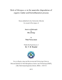 Role of Metopus Es in the Anaerobic Degradation of Organic Matter and Biomethanation Process