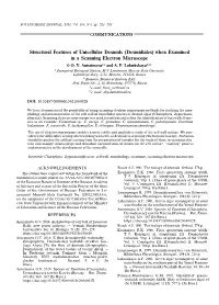 Structural Features of Unicellular Desmids (Desmidiales) When Examined in a Scanning Electron Microscope © O