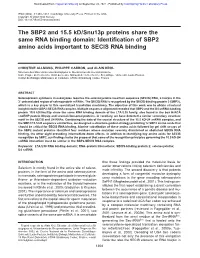 The SBP2 and 15.5 Kd/Snu13p Proteins Share the Same RNA Binding Domain: Identification of SBP2 Amino Acids Important to SECIS RNA Binding