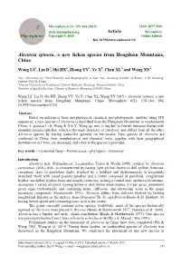 Alectoria Spinosa, a New Lichen Species from Hengduan Mountains, China