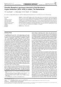 Possible Rumphius Specimens Detected in Paul Hermann's Ceylon