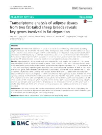 Transcriptome Analysis of Adipose Tissues from Two Fat-Tailed Sheep