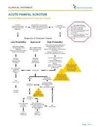 ACUTE PAINFUL SCROTUM ALGORITHM- Suspicion for Testicular Torsion