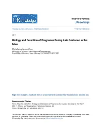 Biology and Detection of Pregnanes During Late Gestation in the Mare