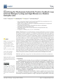 Identifying the Mechanisms Behind the Positive Feedback Loop Between Nitrogen Cycling and Algal Blooms in a Shallow Eutrophic Lake