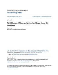 RUNX1 Control of Mammary Epithelial and Breast Cancer Cell Phenotypes