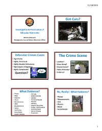 The Crime Scene