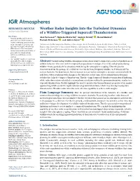 Weather Radar Insights Into the Turbulent Dynamics of a Wildfire