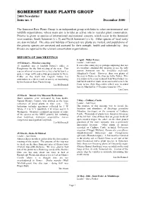 2000 Newsletter 1