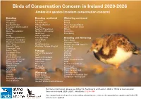 Birds of Conservation Concern in Ireland 2020-2026 Amber-List Species (Medium Conservation Concern)