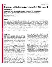 Dynamics Within Tetraspanin Pairs Affect MHC Class II Expression