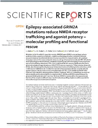 Epilepsy-Associated GRIN2A Mutations Reduce NMDA Receptor