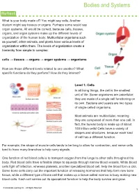 Bodies and Systems