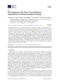 Development of in Vitro Corneal Models: Opportunity for Pharmacological Testing