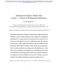 Holobiont Evolution: Model with Lineal Vs