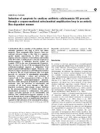 Induction of Apoptosis by Enediyne Antibiotic Calicheamicin 0II