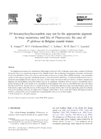 The Case of P. Globosa in Belgian Coastal Waters
