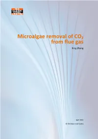 Microalgae Removal of CO2 from Flue Gas CCC250