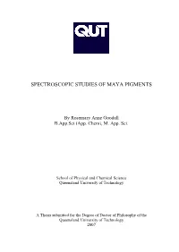 Spectroscopic Studies of Maya Pigments