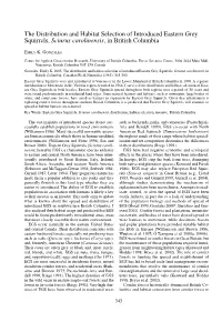 The Distribution and Habitat Selection of Introduced Eastern Grey Squirrels, Sciurus Carolinensis, in British Columbia