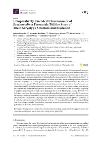Comparatively Barcoded Chromosomes of Brachypodium Perennials Tell the Story of Their Karyotype Structure and Evolution