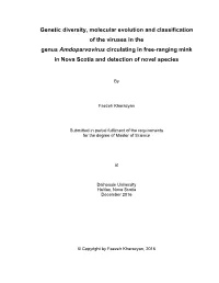 Genetic Diversity, Molecular Evolution and Classification of the Viruses In