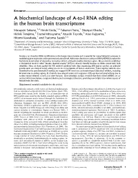 A Biochemical Landscape of A-To-I RNA Editing in the Human Brain Transcriptome