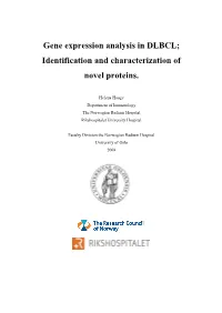 Gene Expression Analysis in DLBCL; Identification and Characterization of Novel Proteins