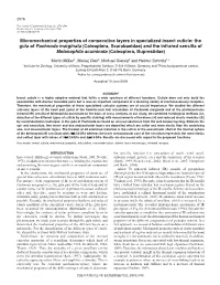 Micromechanical Properties of Consecutive Layers in Specialized