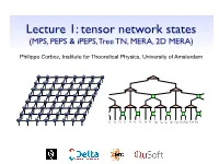 Tensor Networks, MERA & 2D MERA ✦ Classify Tensor Network Ansatz According to Its Entanglement Scaling