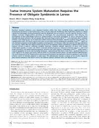 Tsetse Immune System Maturation Requires the Presence of Obligate Symbionts in Larvae