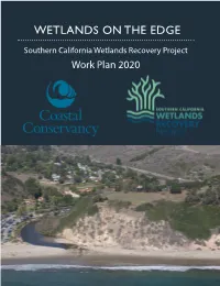 2020 Work Plan Report