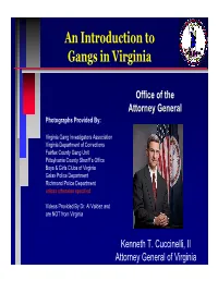 An Introduction to Gangs in Virginia