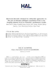 Bacterial Diversity Obtained by Culturable Approaches in the Gut Of
