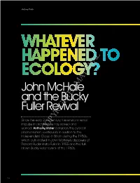 John Mchale and the Bucky Fuller Revival