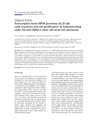 Original Article Transcription Factor NFYA Promotes G1/S Cell Cycle Transition and Cell Proliferation by Transactivating Cyclin