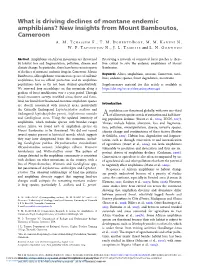 What Is Driving Declines of Montane Endemic Amphibians? New Insights from Mount Bamboutos, Cameroon