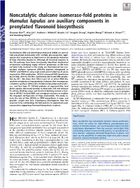 Noncatalytic Chalcone Isomerase-Fold Proteins in Humulus Lupulus