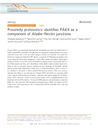 Proximity Proteomics Identifies PAK4 As a Component of Afadin–Nectin