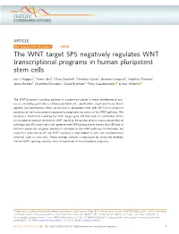 The WNT Target SP5 Negatively Regulates WNT Transcriptional Programs in Human Pluripotent Stem Cells