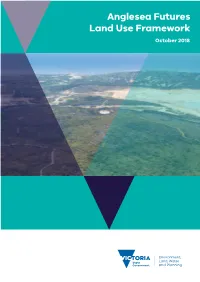 Anglesea Futures Land Use Framework October 2018