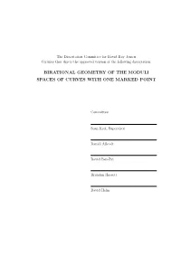 Birational Geometry of the Moduli Spaces of Curves with One Marked Point