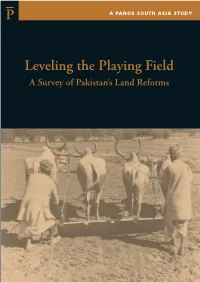 P Leveling the Playing Field