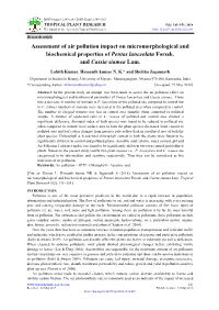 Assessment of Air Pollution Impact on Micromorphological and Biochemical Properties of Pentas Lanceolata Forssk