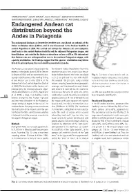 Endangered Andean Cat Distribution Beyond the Andes in Patagonia