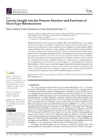Genetic Insight Into the Domain Structure and Functions of Dicer-Type Ribonucleases